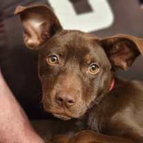 Thumbnail photo of Kisses #3