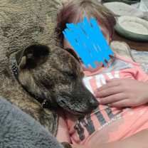 Thumbnail photo of Lily #2