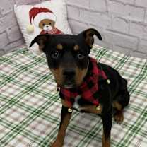 Thumbnail photo of Maxine #1