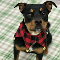 Thumbnail photo of Maxine #2