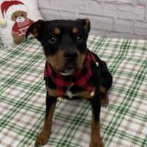 Thumbnail photo of Maxine #3