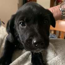 Thumbnail photo of Clyde #1