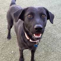 Thumbnail photo of Morticia #1