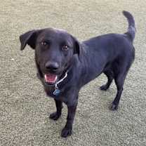 Thumbnail photo of Morticia #2