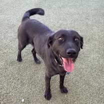 Thumbnail photo of Morticia #3