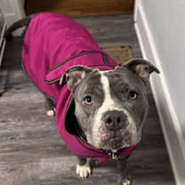 Thumbnail photo of FEEL THE CHILL #2