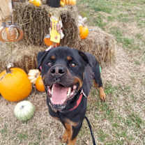 Thumbnail photo of GULP #1