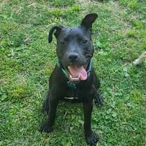 Thumbnail photo of ANDARNA #1