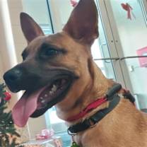 Thumbnail photo of FONDA GRITS #2