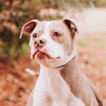 Thumbnail photo of 89671A Lulu #2