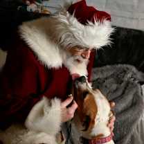 Thumbnail photo of Iris #2