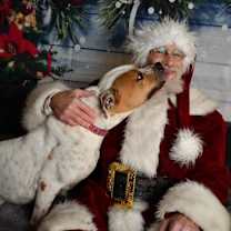 Thumbnail photo of Iris #3