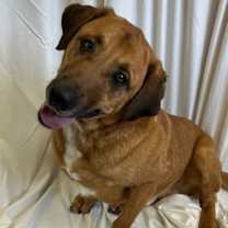 Thumbnail photo of Bacon #2