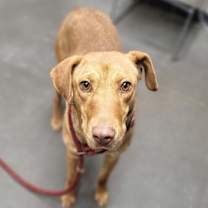 Thumbnail photo of Jessie #1