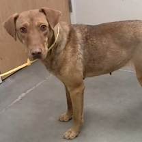 Thumbnail photo of Jessie #2