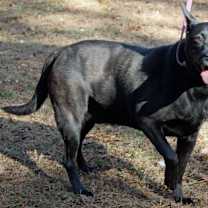 Thumbnail photo of Jackson #1