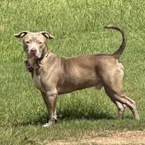 Thumbnail photo of Connor #2