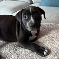 Thumbnail photo of Zen #2