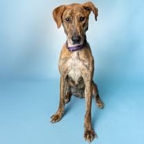 Thumbnail photo of Drew with the Golden Heart #3