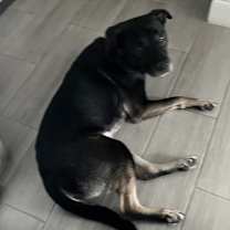 Thumbnail photo of Mitch #3