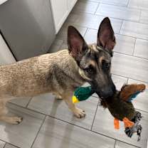 Thumbnail photo of Elora #4