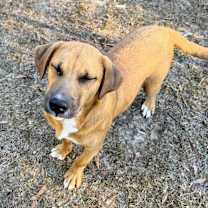 Thumbnail photo of THEO #2