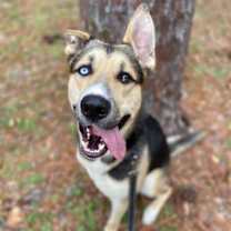 Thumbnail photo of Titan #1