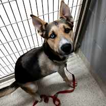 Thumbnail photo of Titan #2