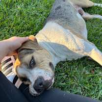 Thumbnail photo of Benjamin #2