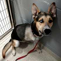 Thumbnail photo of Titan #3