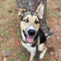 Thumbnail photo of Titan #4