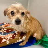 Thumbnail photo of Itsy #2