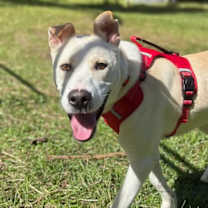 Thumbnail photo of Coldwell #3