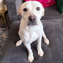 Thumbnail photo of Nebraska #1