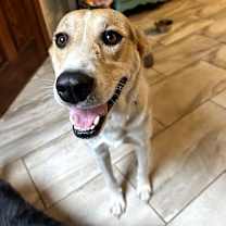 Thumbnail photo of Molly #1