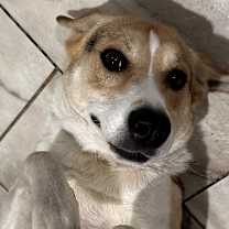 Thumbnail photo of Molly #3