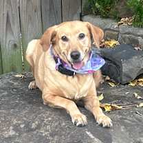 Thumbnail photo of Parker #1