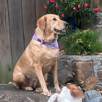 Thumbnail photo of Parker #2