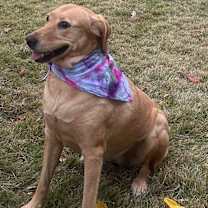 Thumbnail photo of Parker #3