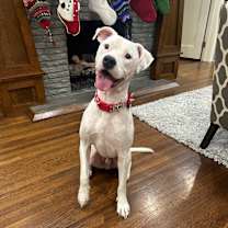 Thumbnail photo of Sprite #2