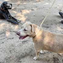 Thumbnail photo of ROXY JO #2