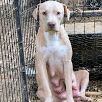 Thumbnail photo of ROXY JO #3