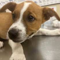 Thumbnail photo of Max #1