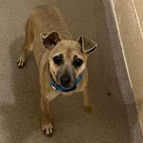 Thumbnail photo of Lady #2