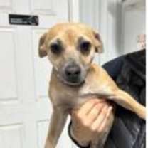 Thumbnail photo of Lady #3