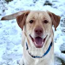 Thumbnail photo of Jaxx #1