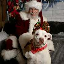 Thumbnail photo of Putter #1