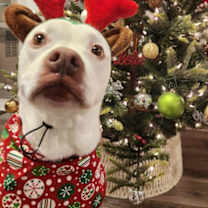 Thumbnail photo of Putter #2