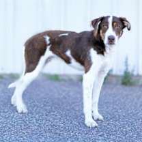 Thumbnail photo of SUNNY #1