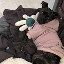 Thumbnail photo of Penny #4